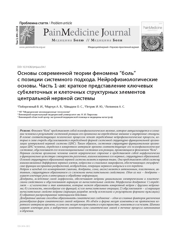 Основы современной теории феномена “боль” с позиции системного подхода. Нейрофизиологические основы. Часть 1-ая: краткое представление ключевых субклеточных и клеточных структурных элементов центральной нервной системы